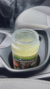 Bio-Bombs Vehicle Deodorization Kit (Car Odor Bomb)
