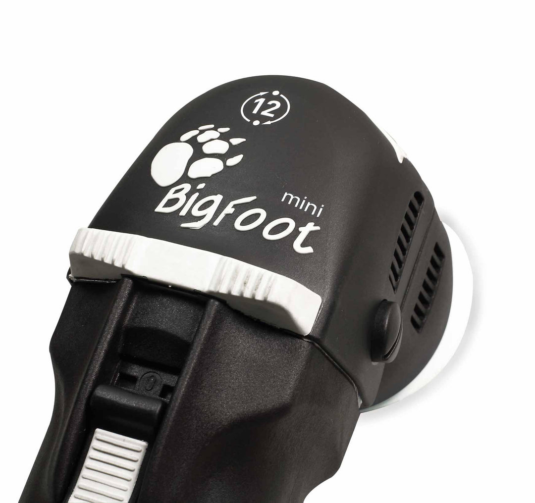 RUPES BigFoot LHR75E Mini Random Orbital Polisher